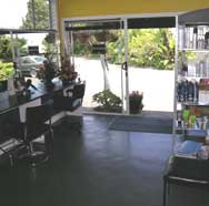 Inside the salon